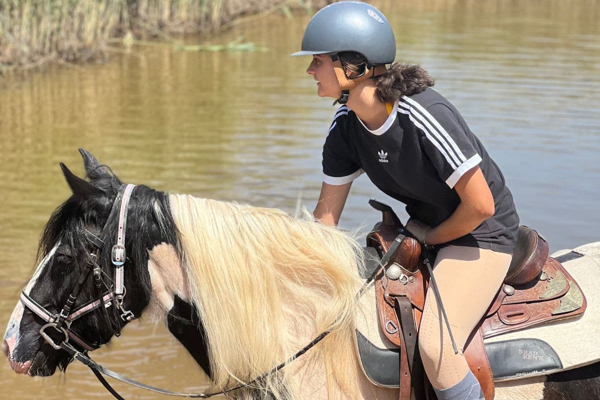 l'échappée belle - 2h30 de balade à cheval dans le massif de l'Esterel