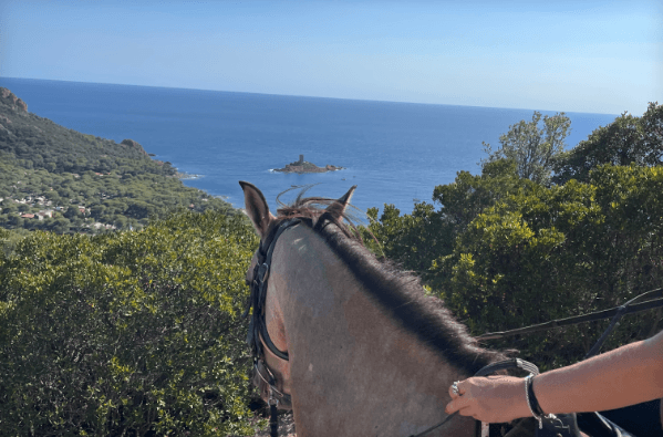 Balade à cheval débutant avec vue mer – Saint-Raphaël (Estérel)