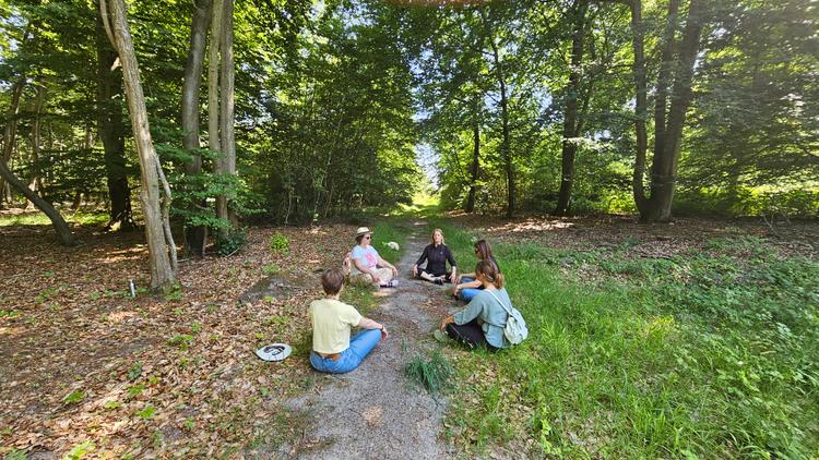 Bain de forêt ;  plongée en immersion  et déconnectez vous