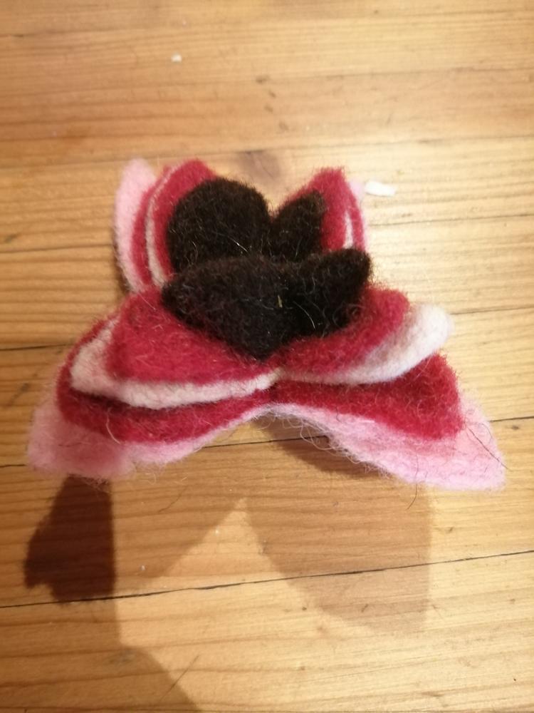 A la découverte de la laine