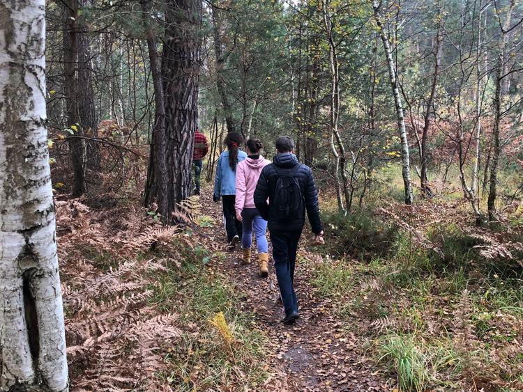 Balade immersive en forêt – Tous vos sens en éveil 