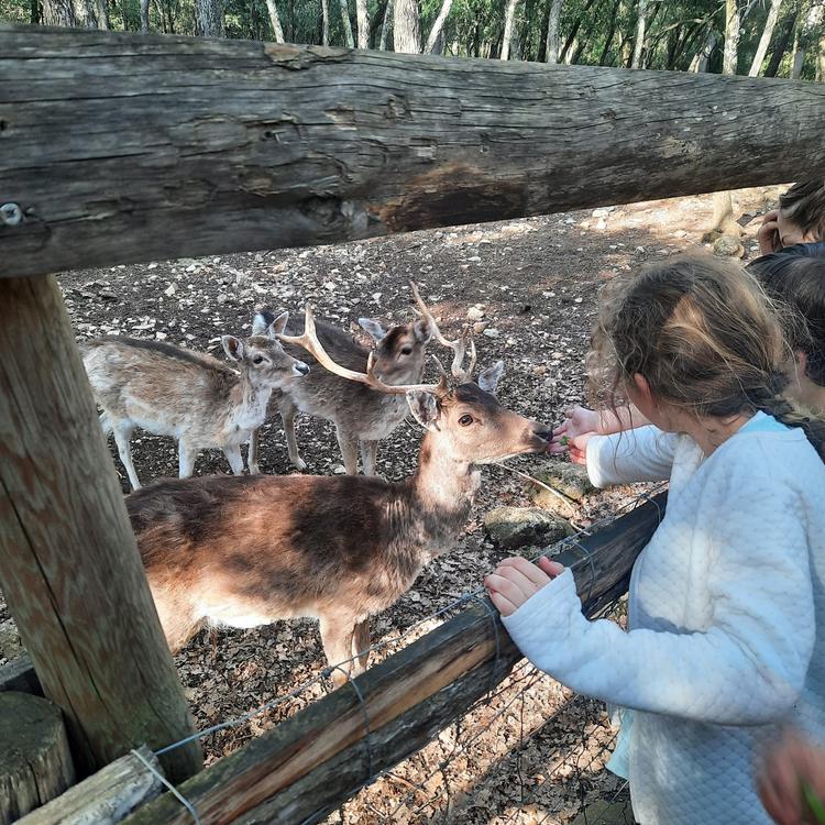 Parc Aoubré en promo – Vivez une aventure nature en famille dans le Var