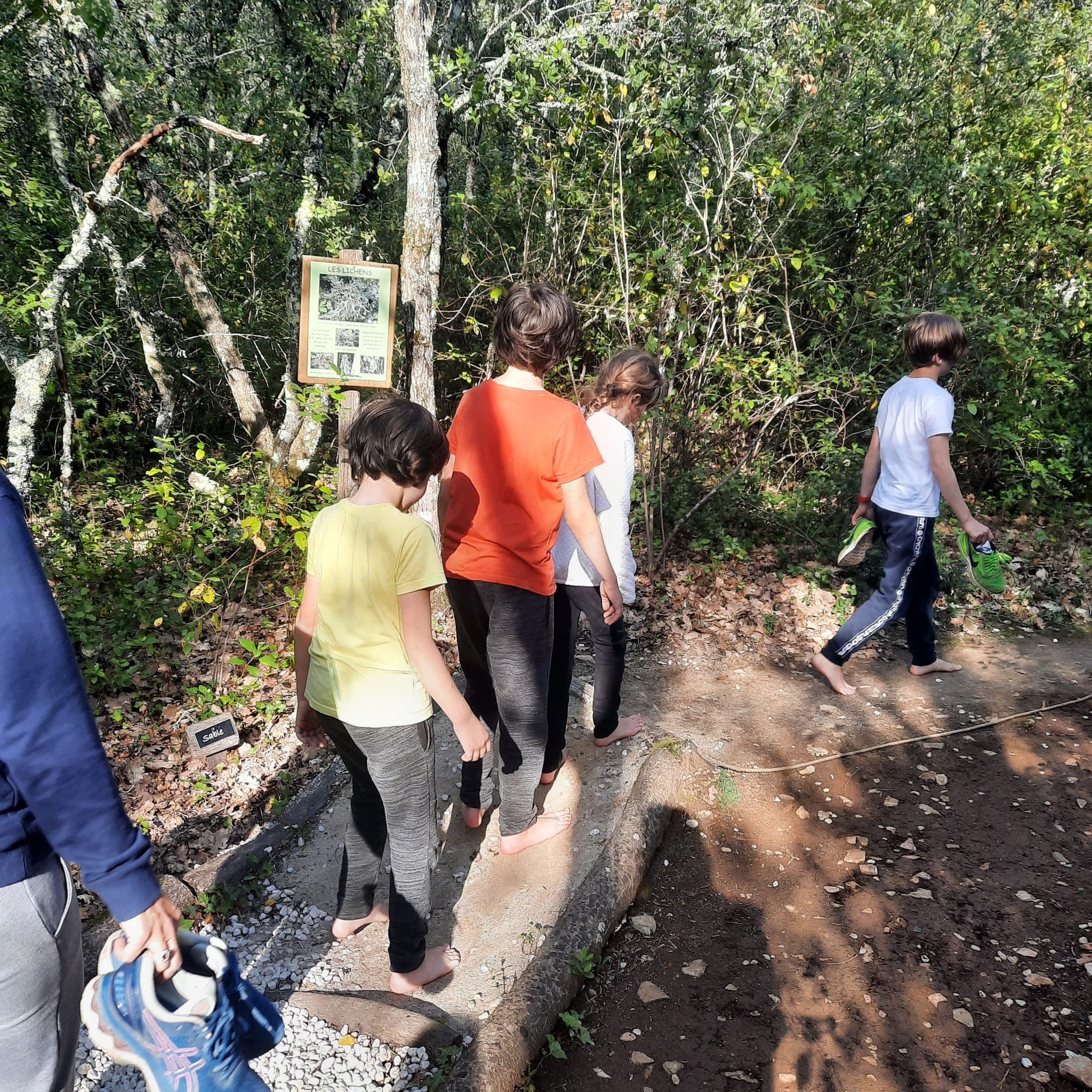 Accrobranche Aoubré l’aventure nature – Prix promo au cœur du Var