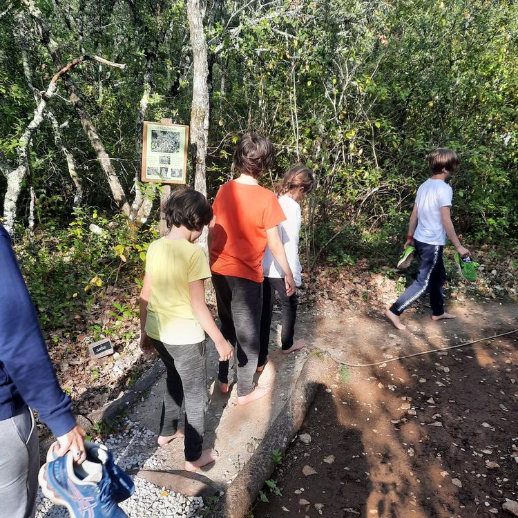 Accrobranche Aoubré l’aventure nature – Prix promo au cœur du Var