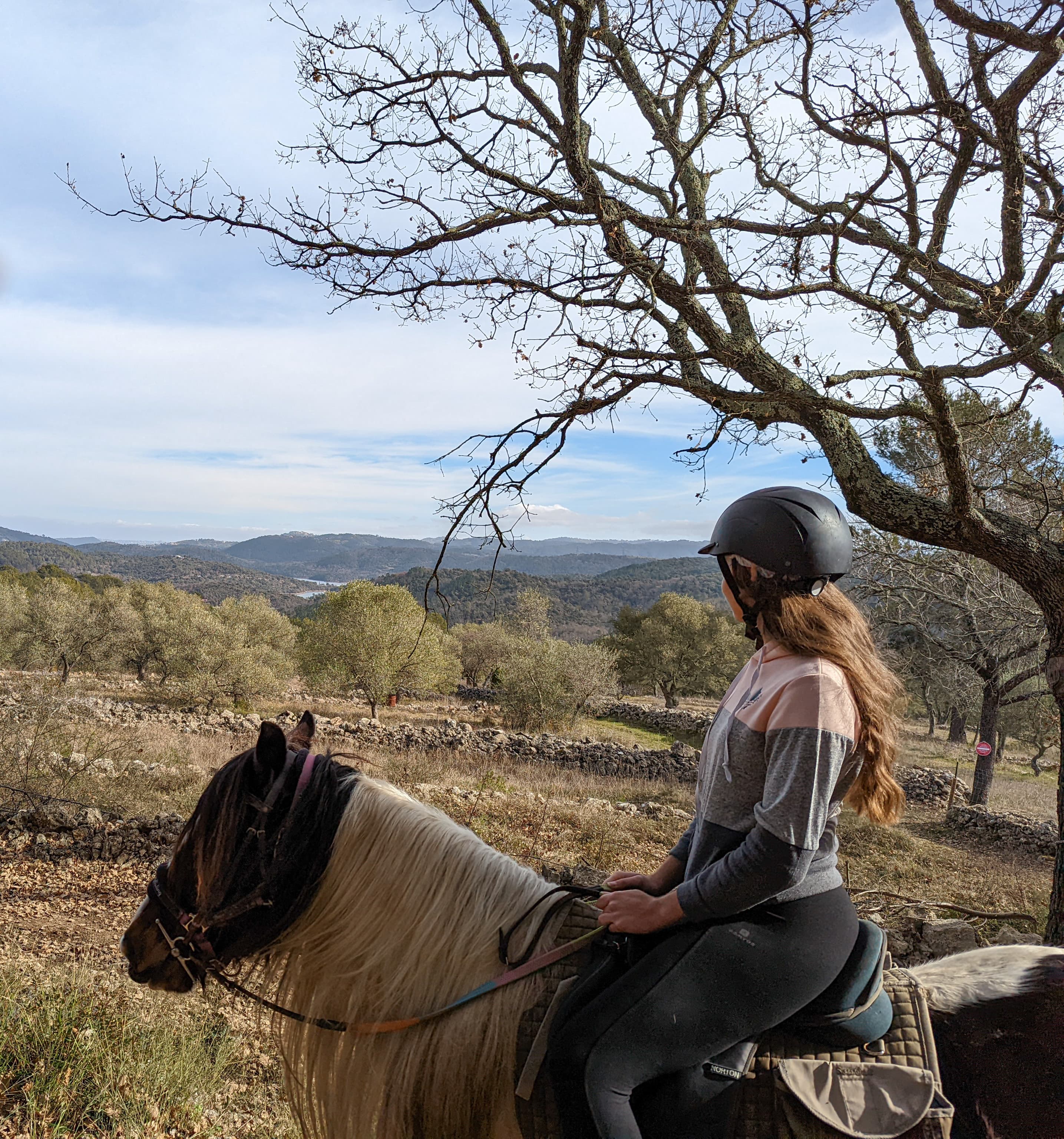 Journée détente à cheval ou poney au lac