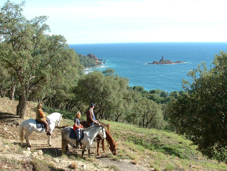 Balade à cheval cavalier moyen dans l’Estérel – Vue mer à Saint-Raphaël