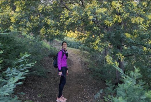 Le mimosa au coeur des Petites Maures