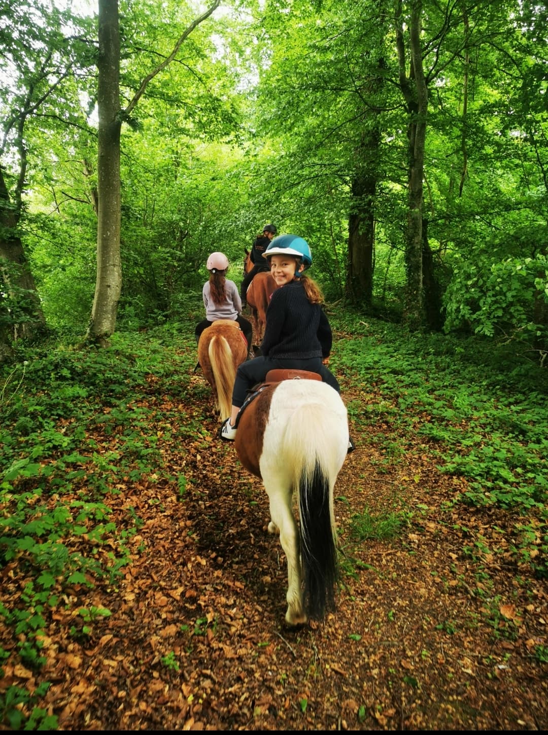 Balade à Poney dans le Beauvaisis