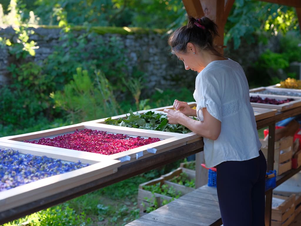Du jardin du Prieuré à l’assiette 