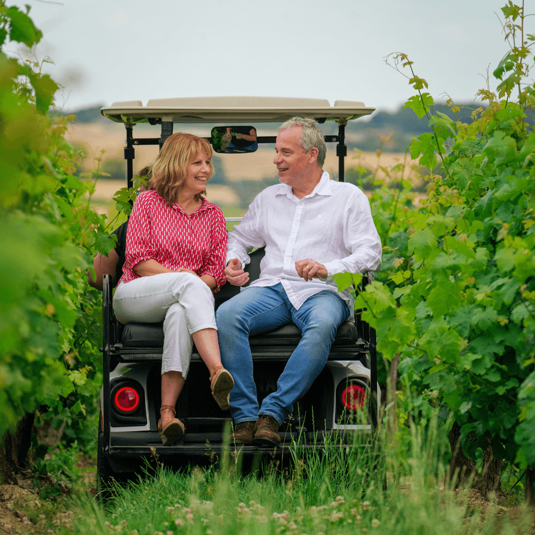 Entrez dans le quotidien d'un Vigneron Indépendant ! Visite guidée des vignes, des chais et dégustation