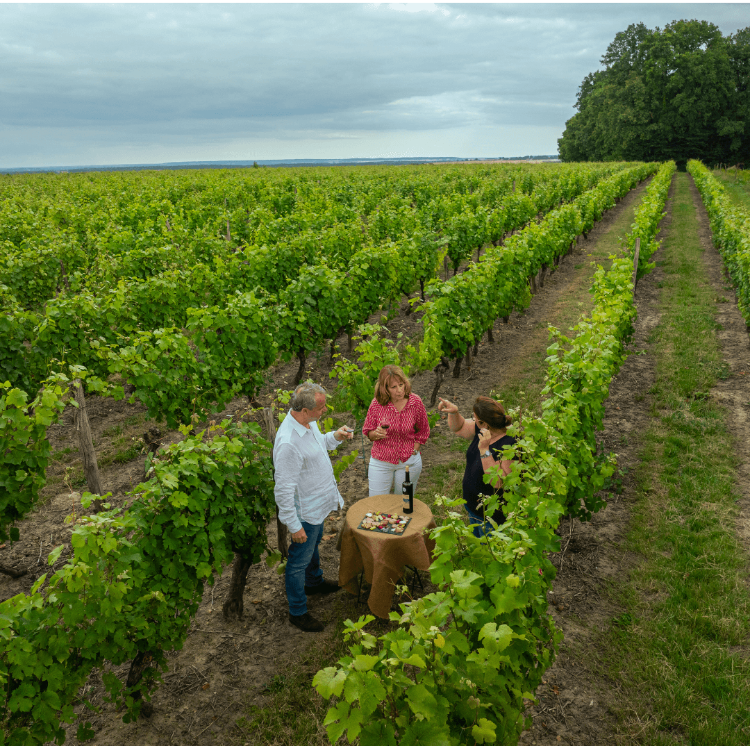 Découvrez notre appellation confidentielle : l' AOC Haut-Poitou ! Visite guidée, dégustation et petite planche gourmande