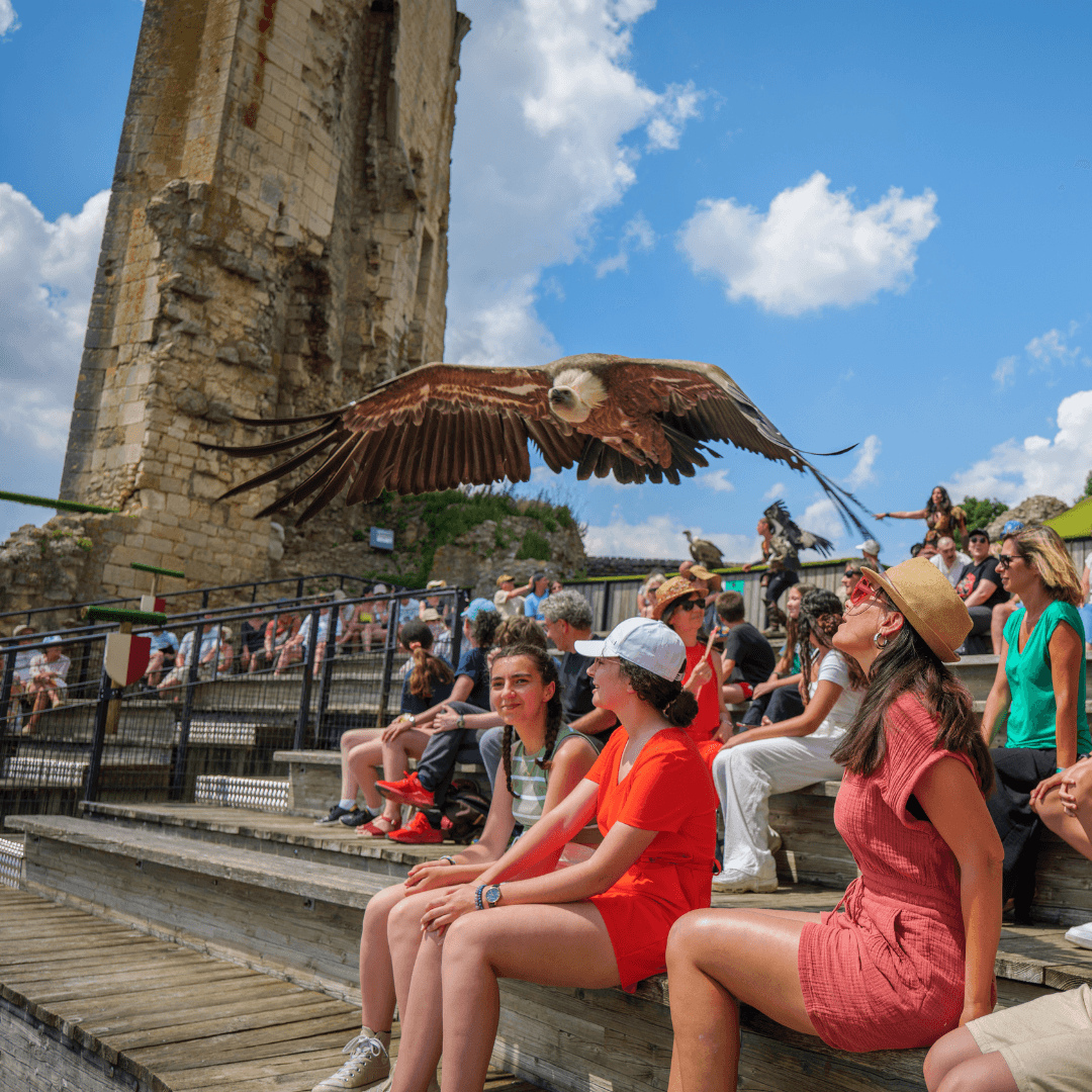 Spectacle des Géants du Ciel
