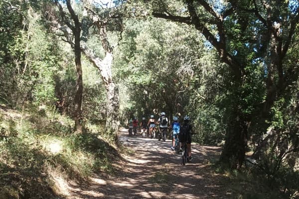 Location de VTT éléctrique - au coeur de l'Estérel