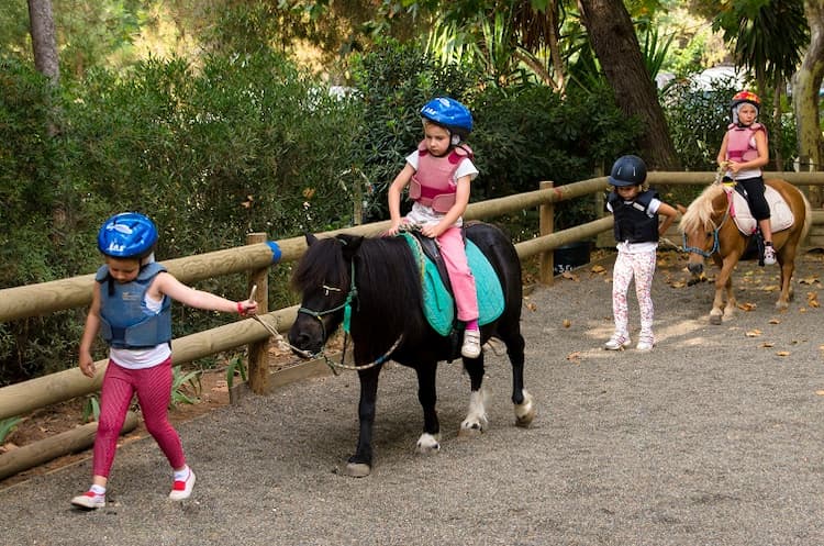 Apprentissage équitation : Pégase dès 8 ans