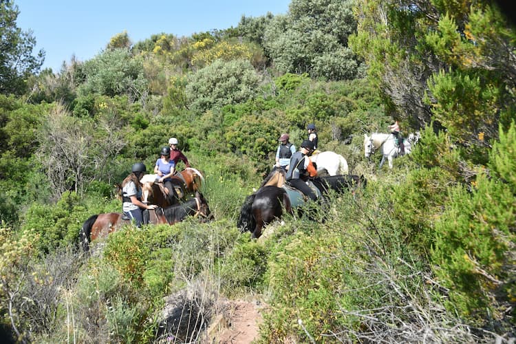 Les Ferrières : Balade équestre cavalier moyen