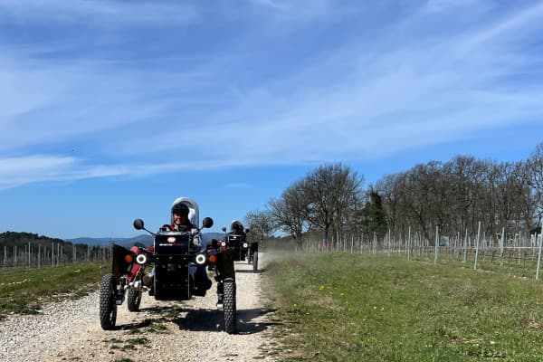 Insolite à Montauroux : Découverte nature en buggy électrique : Le Swincar