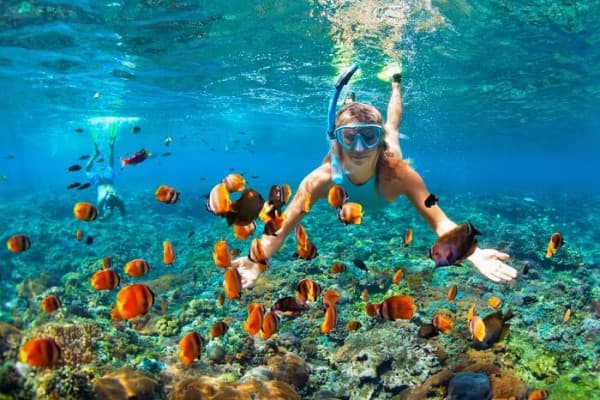 Location de matériel de snorkeling - plage de la Madrague