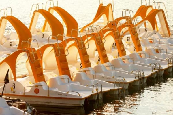 Location pédalos avec toboggan - Lac de St-Cassien
