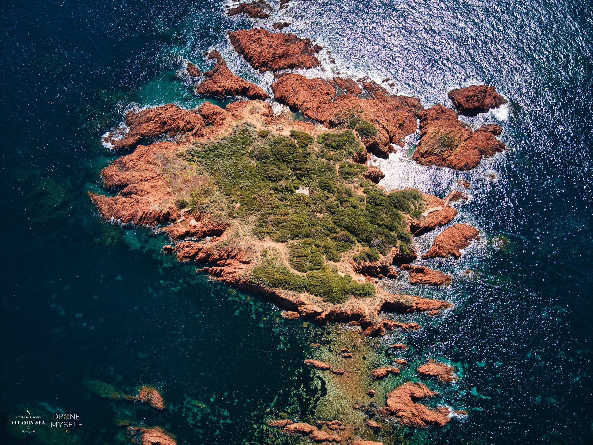 Saint-Raphaël : Snorkeling guidé au Cap Roux - Réserve