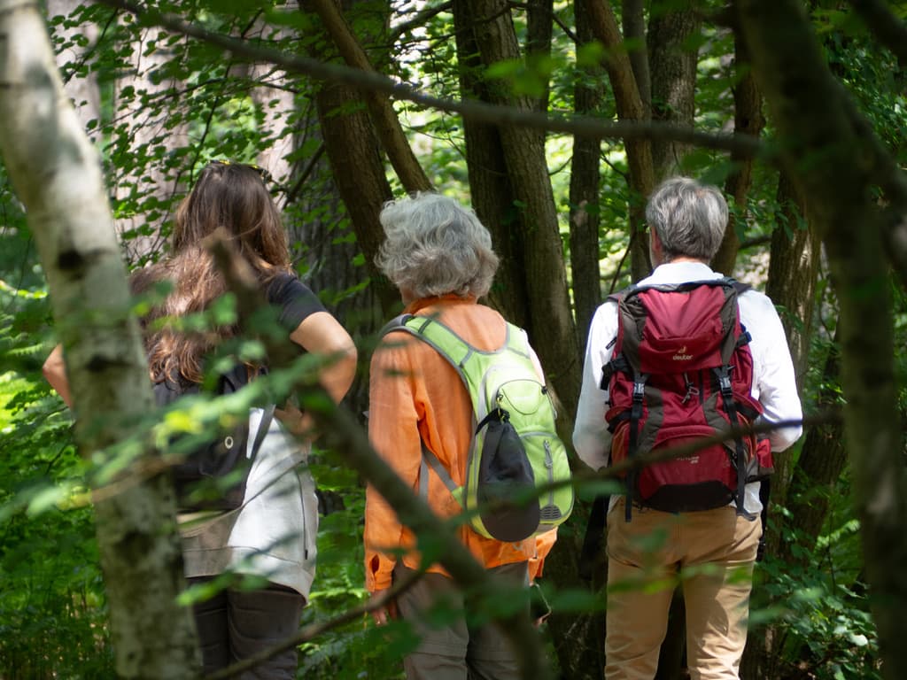Micro-aventure, demi-journée de découverte de la forêt