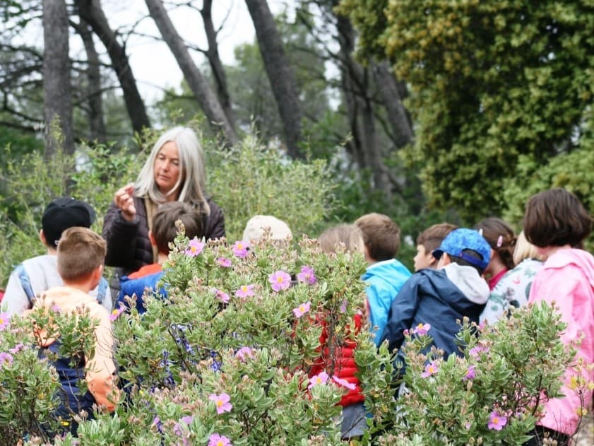 Sortie scolaire nature : la Préhistoire à travers les traces