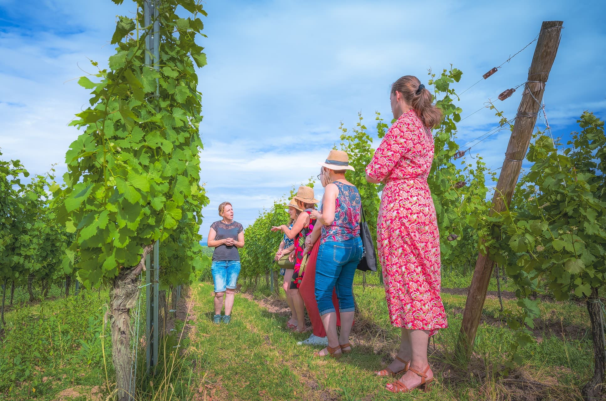 Balades vigneronnes