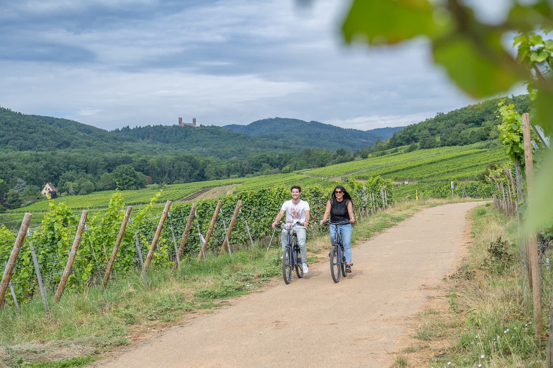 Croq'vélo terroir : location de vélo électrique et repas