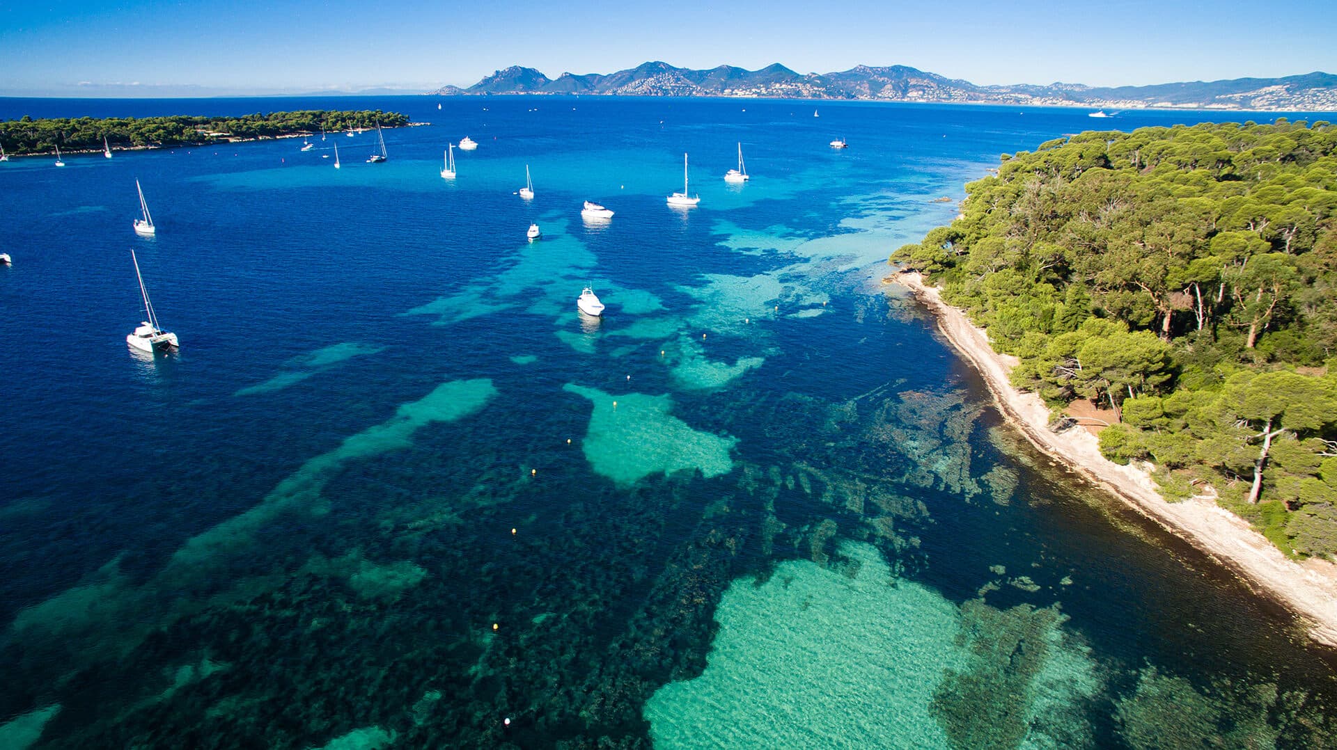 Saint-Raphaël : Journée snorkeling Esterel & Iles de Lérins