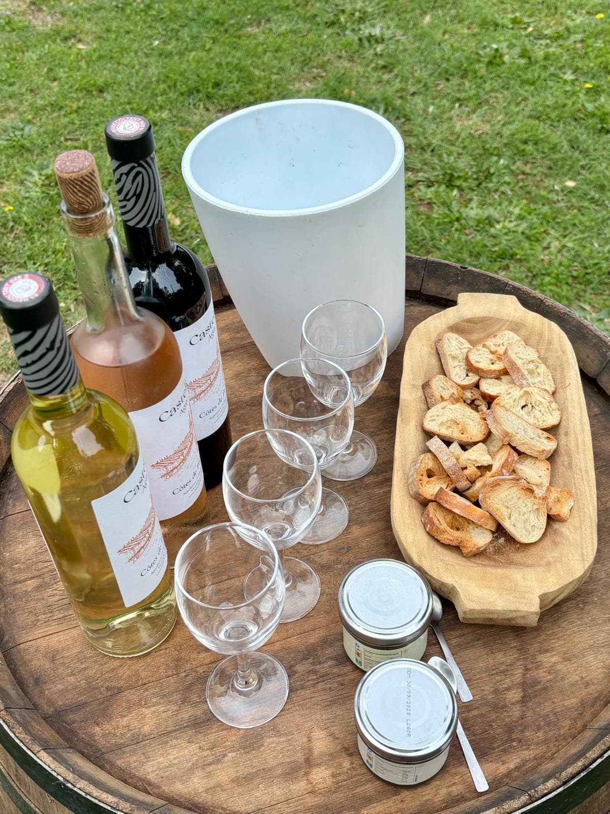 Dégustation de vin et visite des vignes