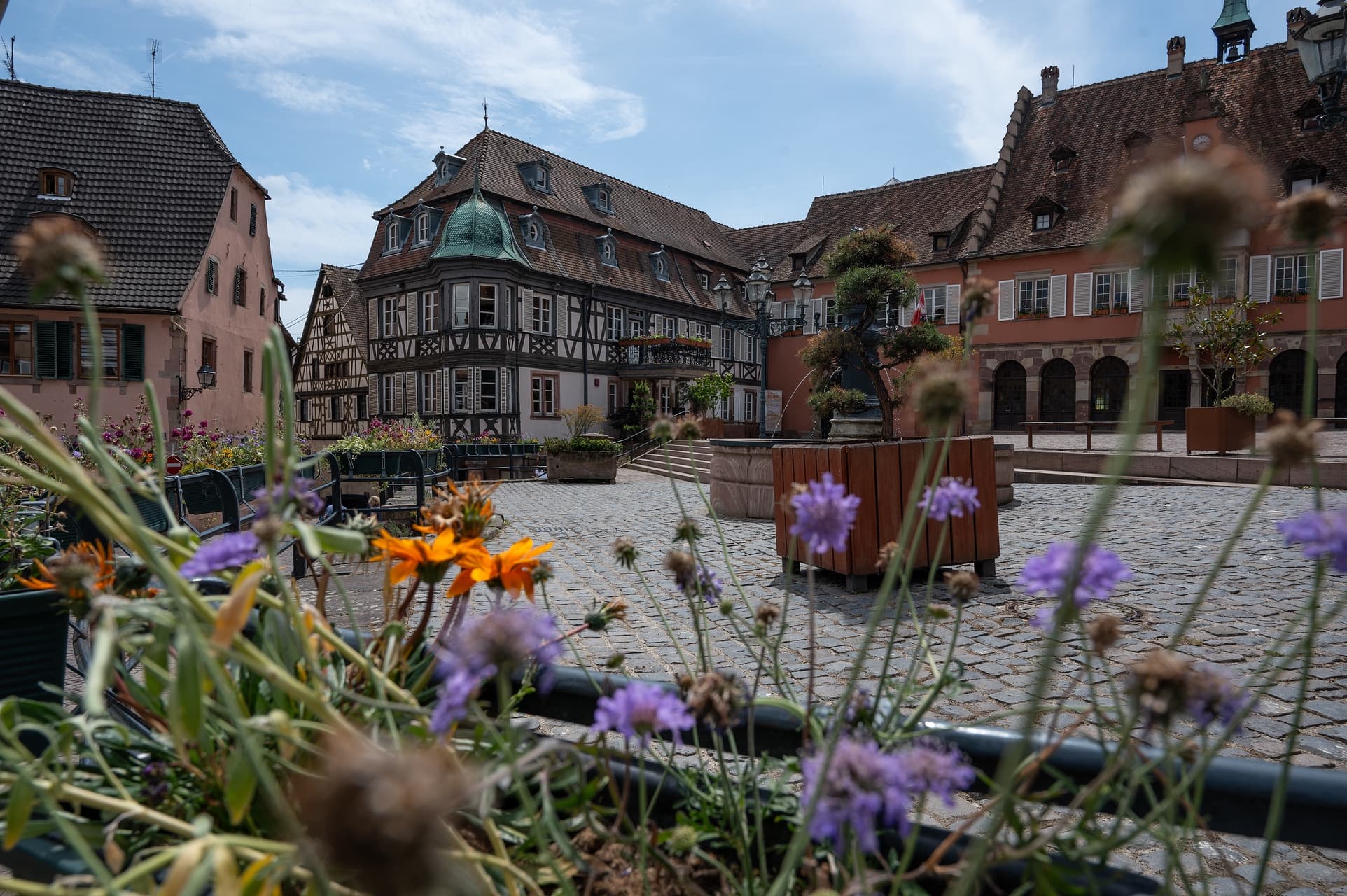 Visite guidée: découvrez Barr au travers de son patrimoine en danger