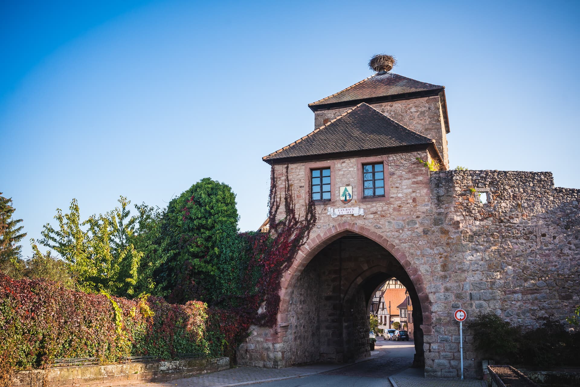 Visite guidée: découvrez le patrimoine de Dambach-la-Ville