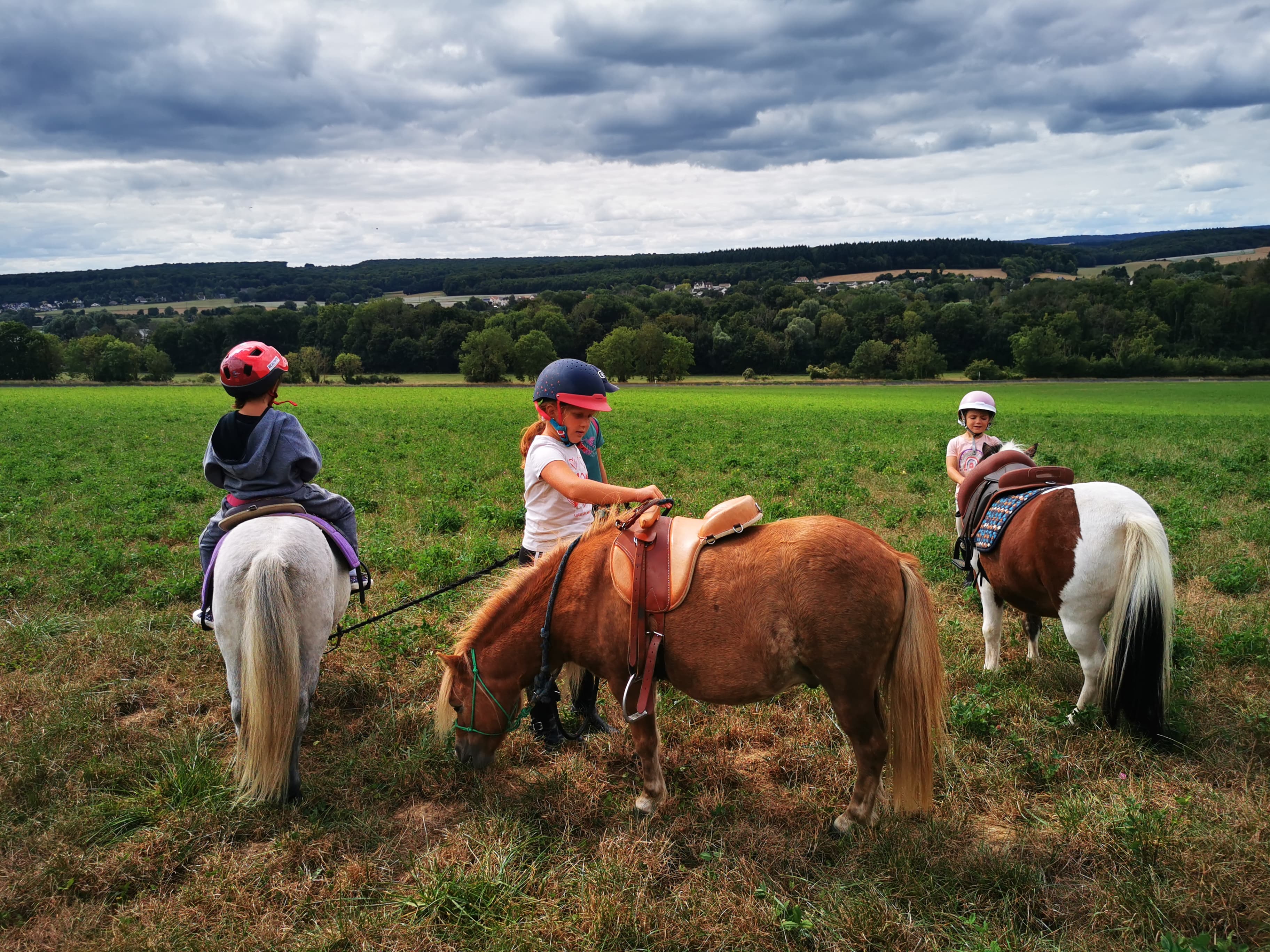 Journée Poney Nature pendant les vacances