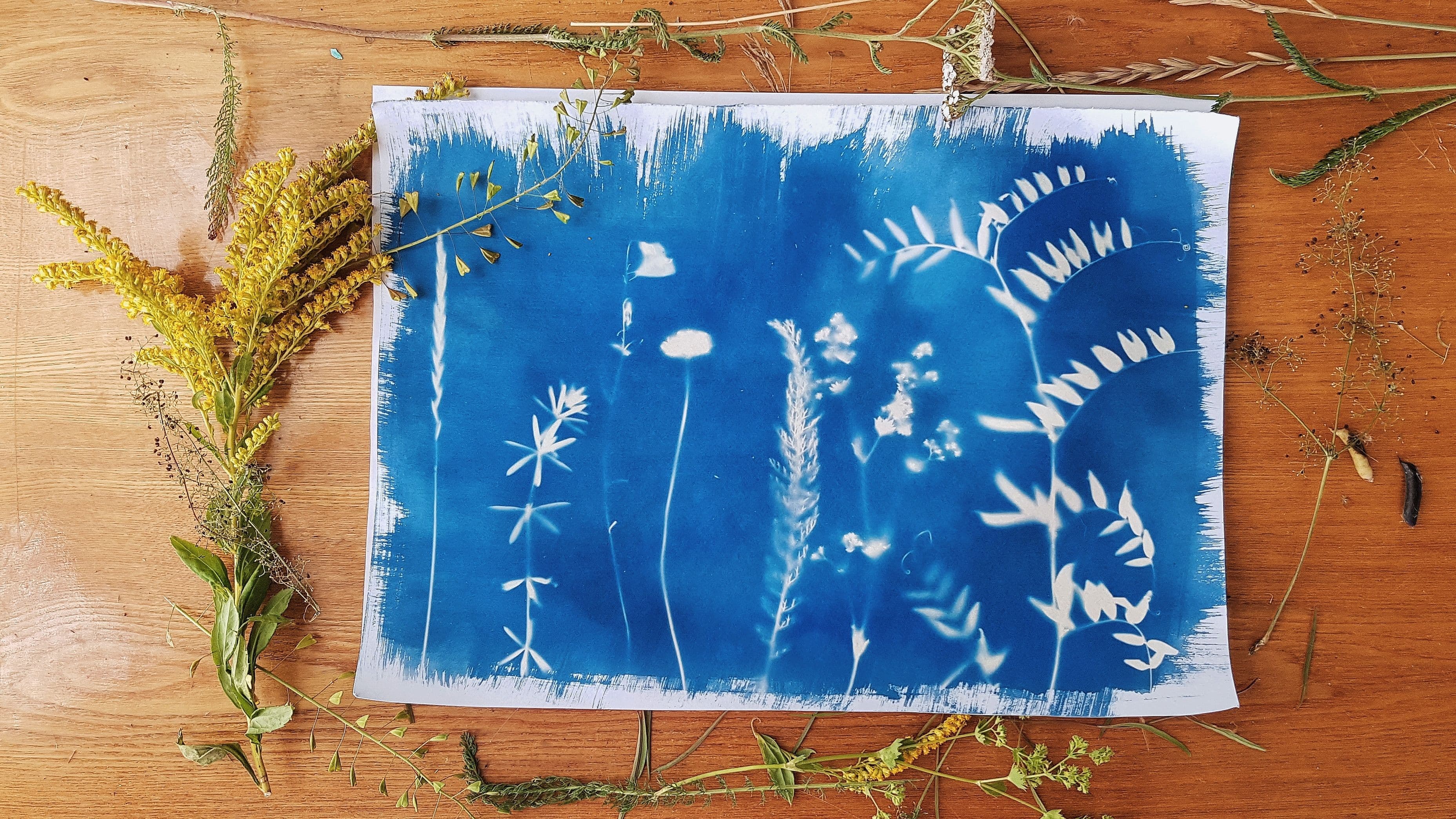 Créez votre œuvre déco unique - Atelier Initiation au Cyanotype