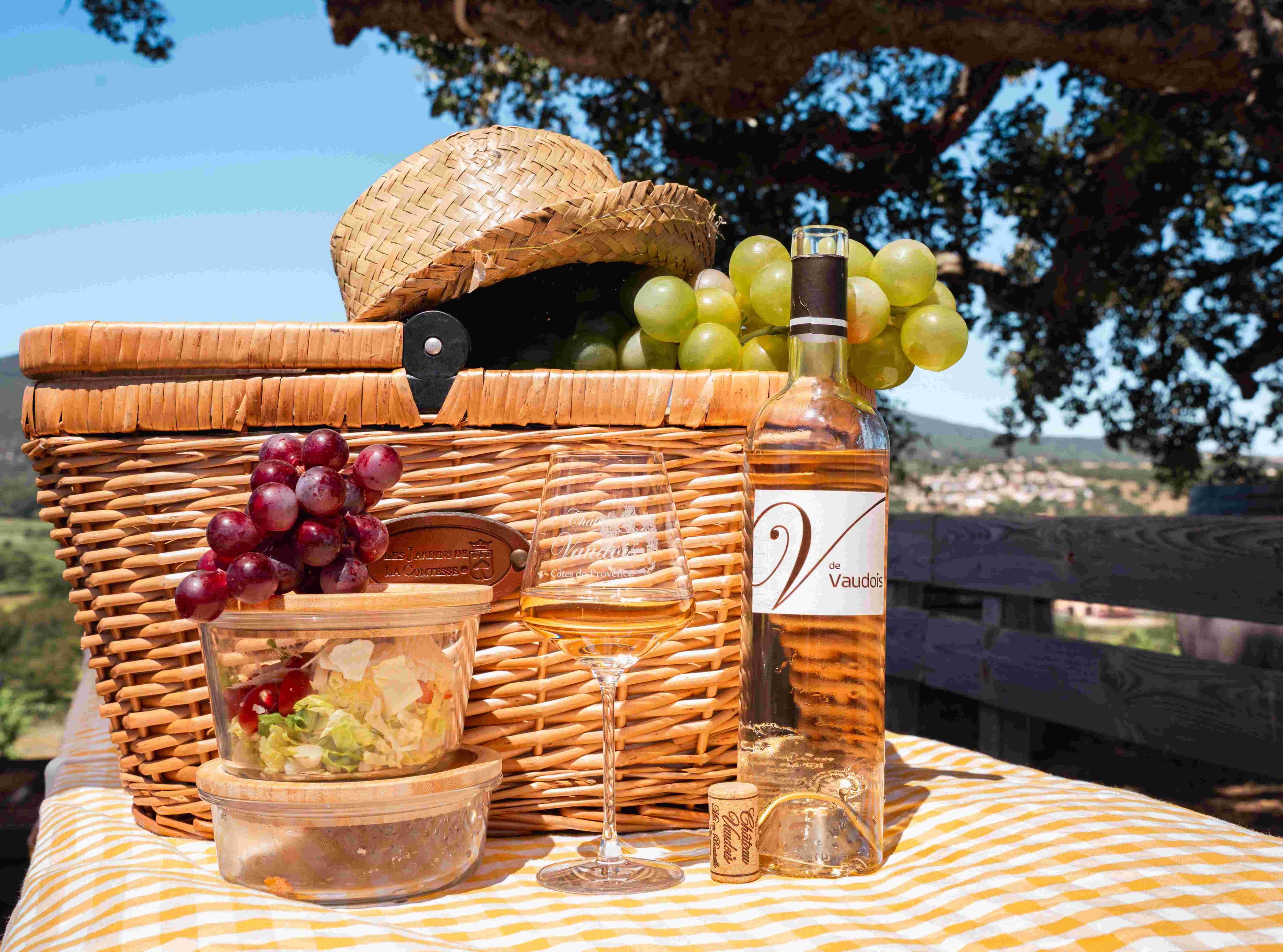 Pique nique dans les vignes