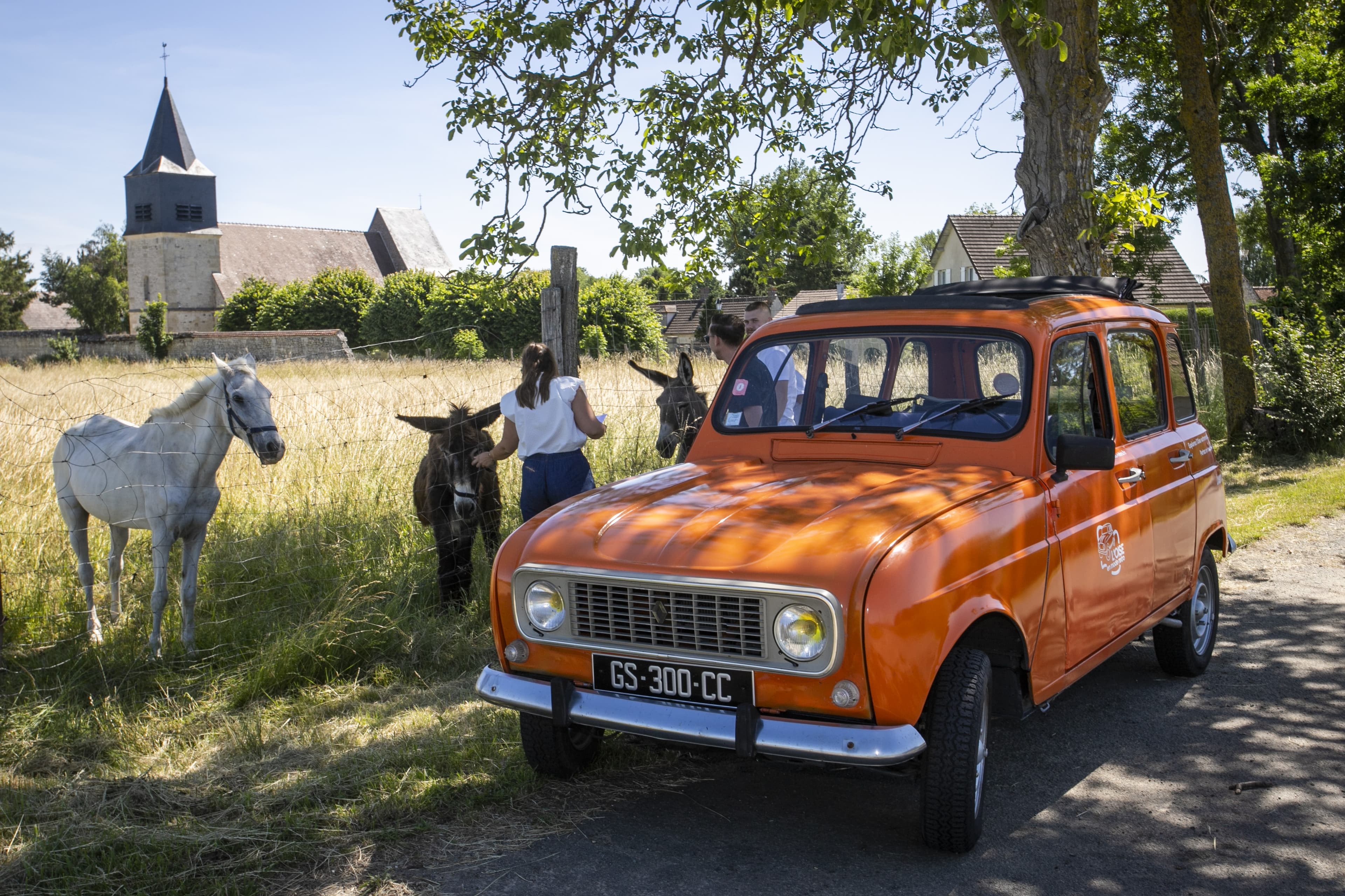 Circuits touristiques (demi-journée) à bord de Renault 4L