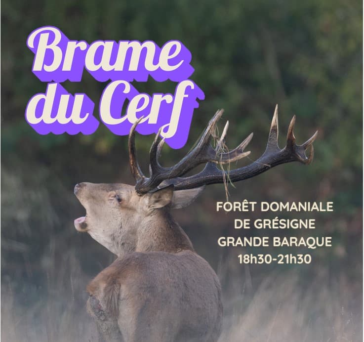 Balade sonore au coeur de la Grésigne